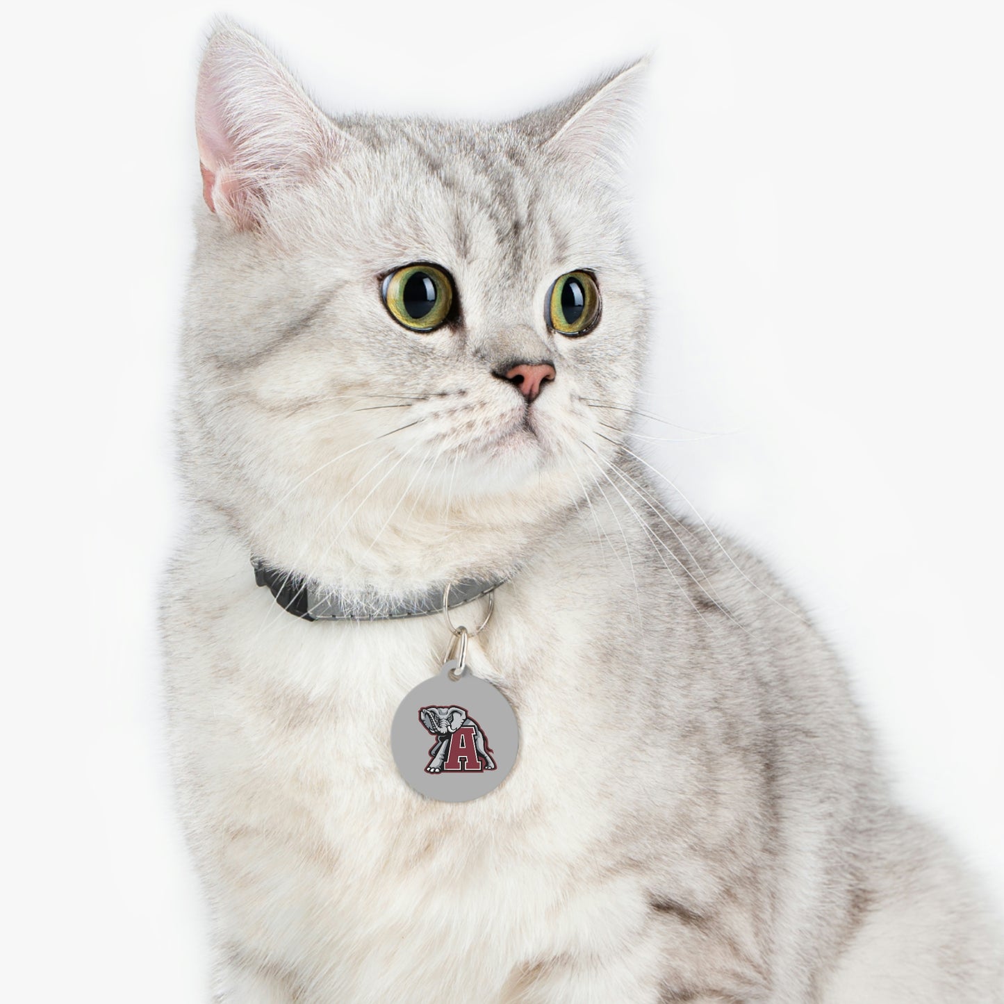 Bama Pet Tag
