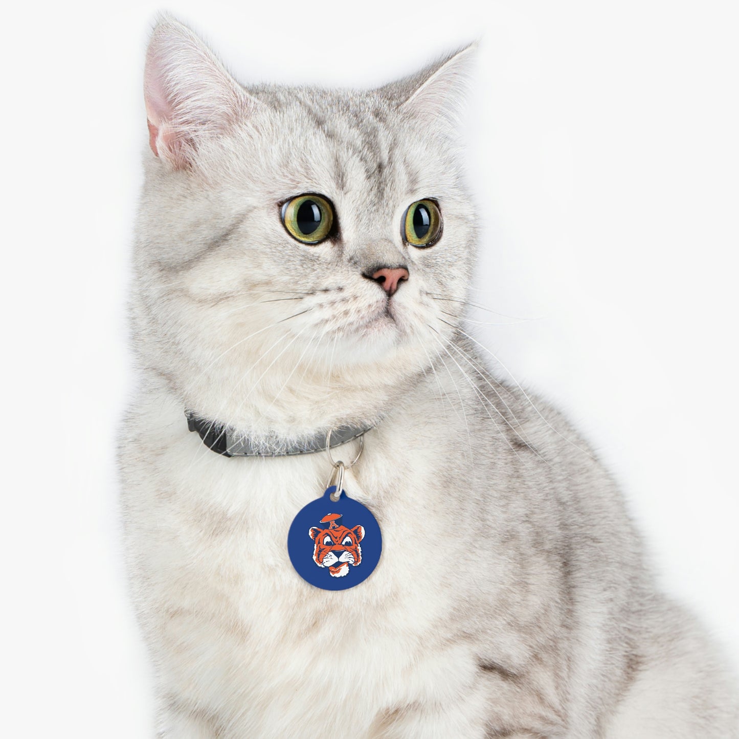Tigers Pet Tag