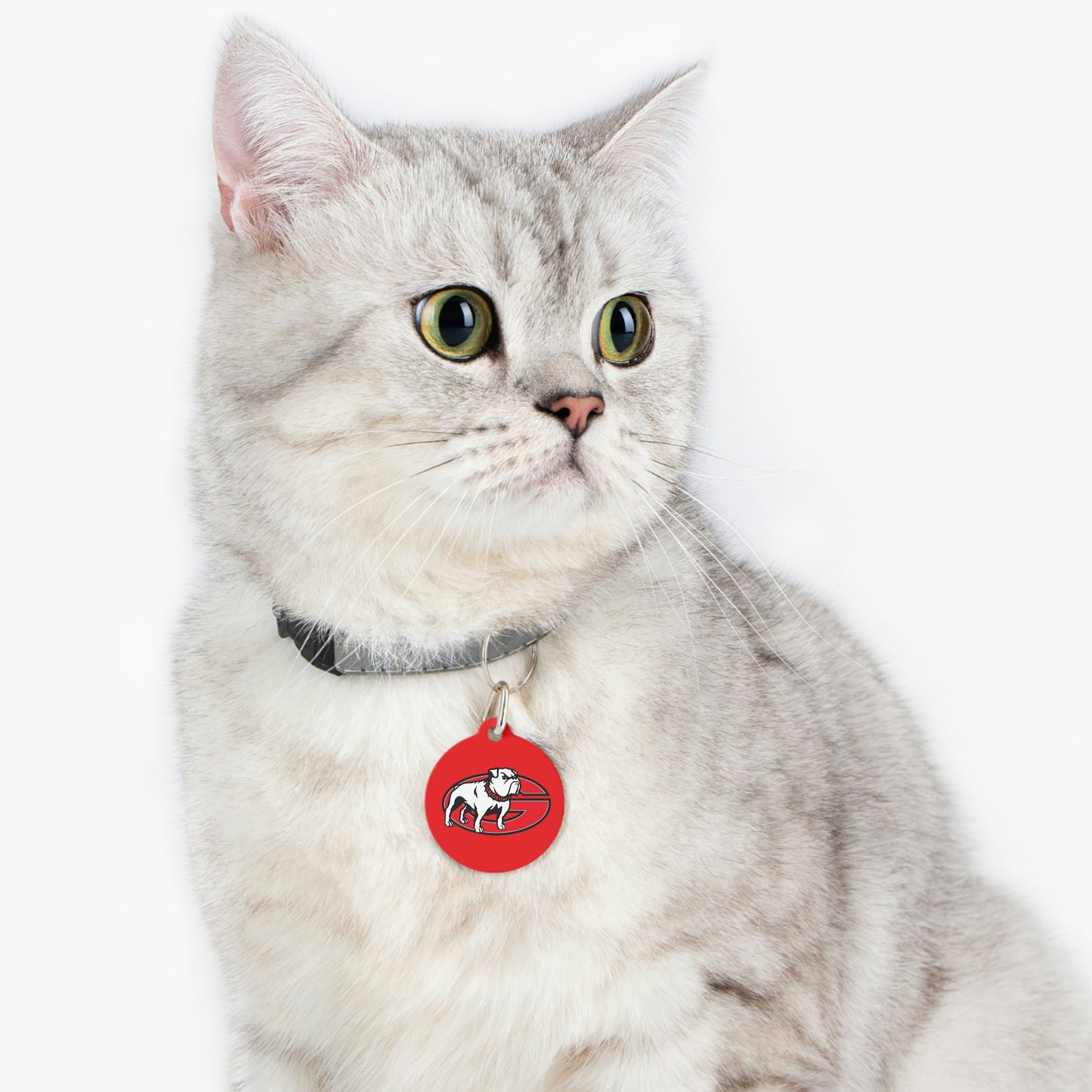 Dawgs Pet Tag