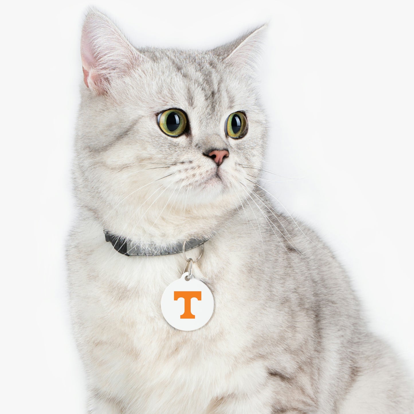 TN Pet Tag