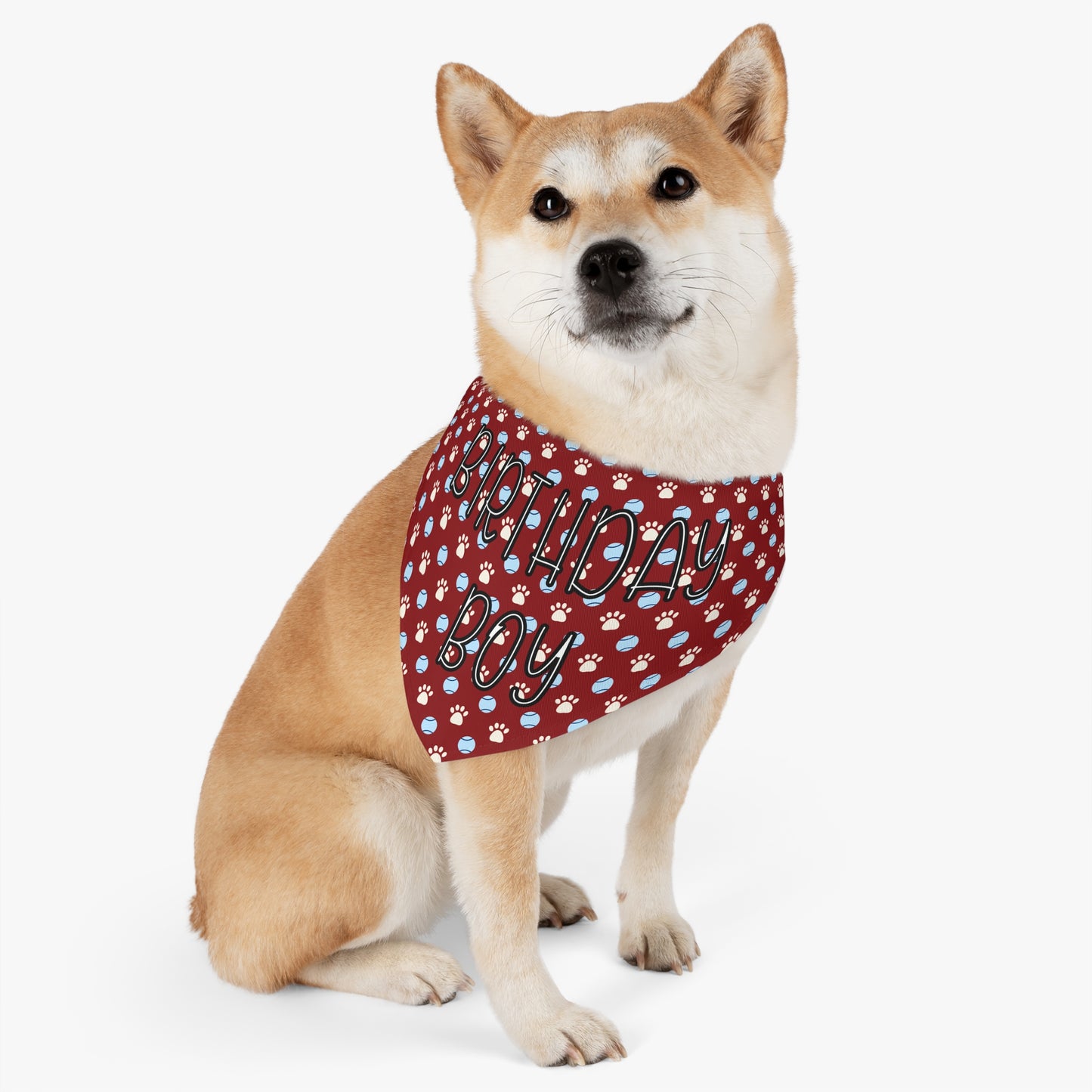 Birthday Boy Pet Bandana Collar