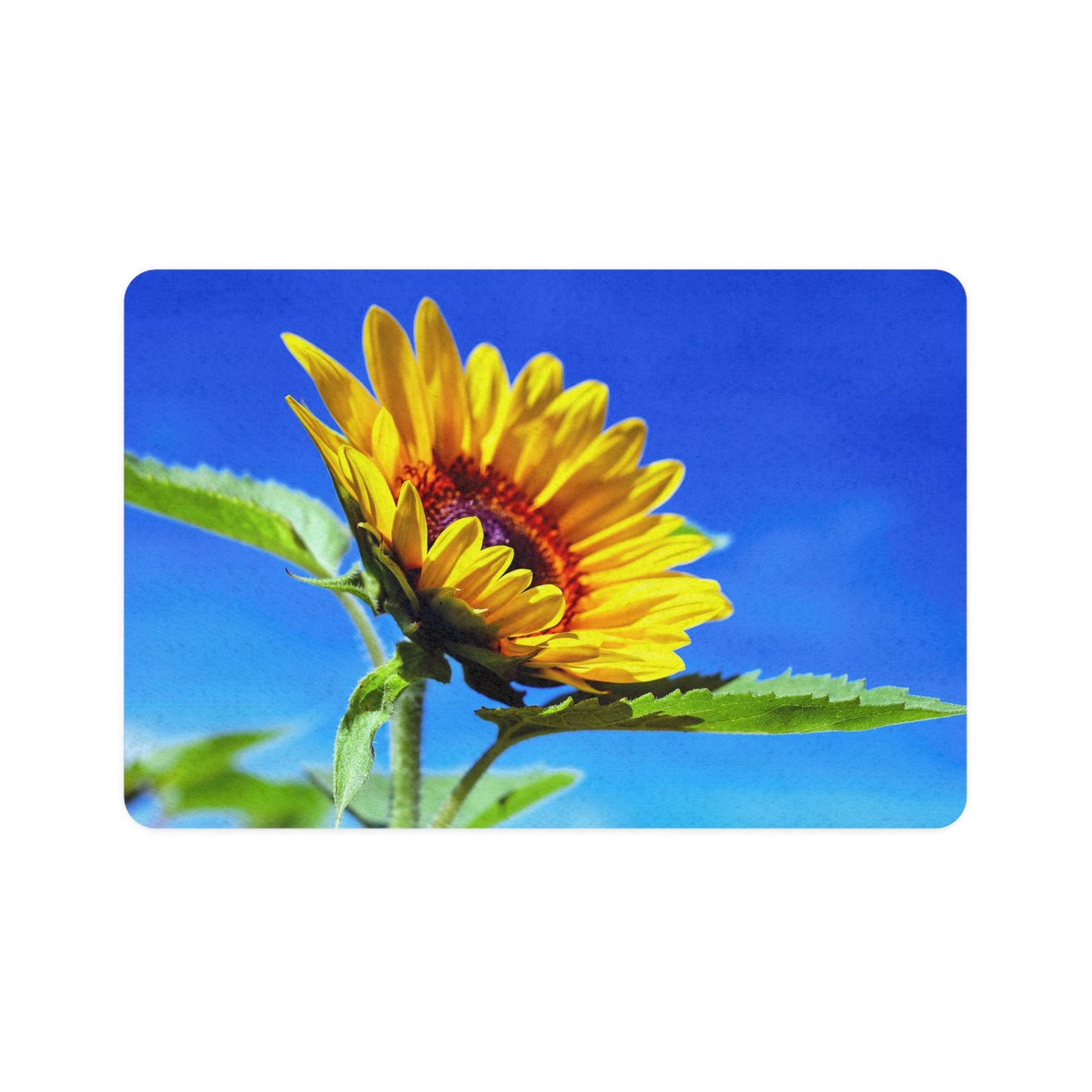 Sunflower Pet Food Mat (12x18)