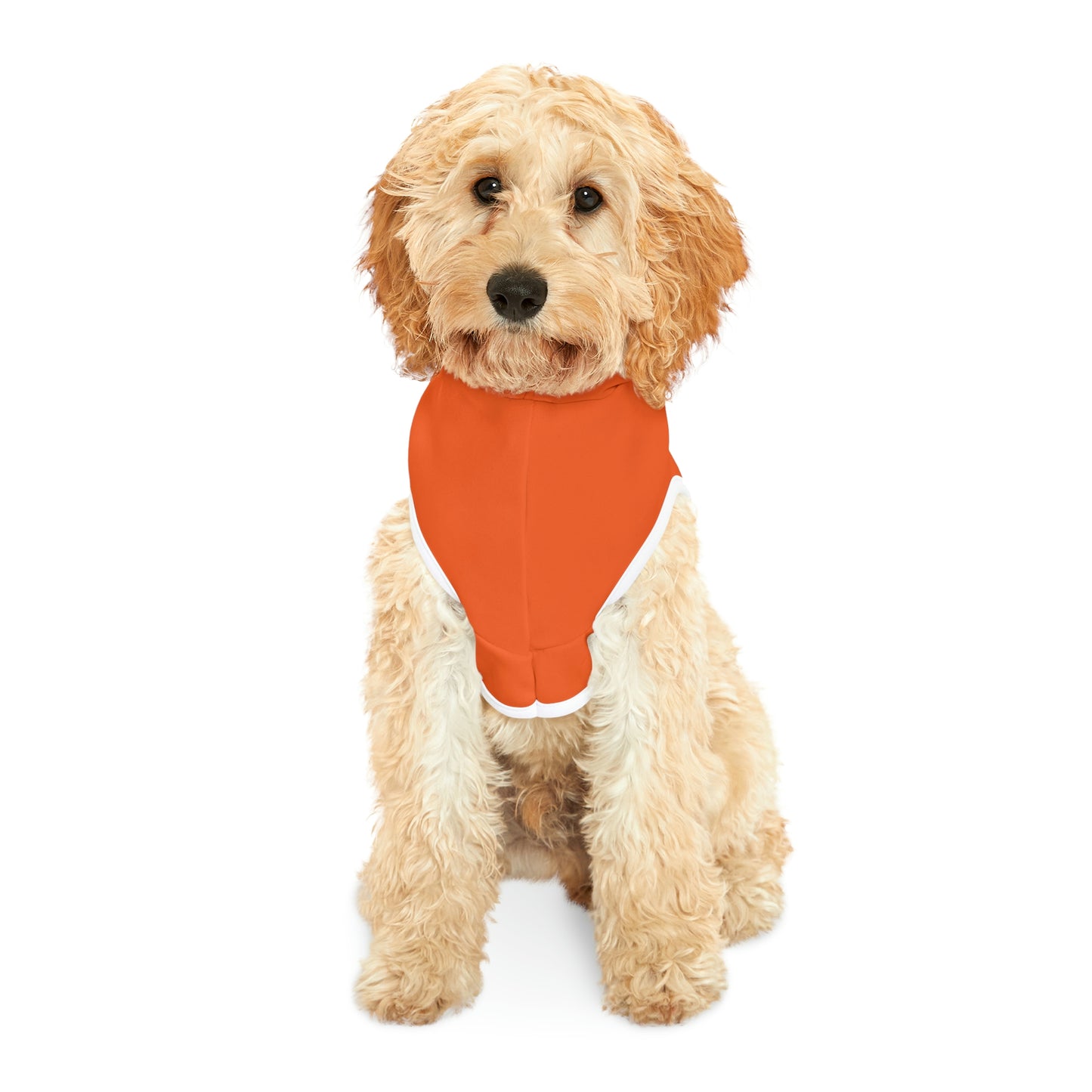 Gators Dog Hoodie
