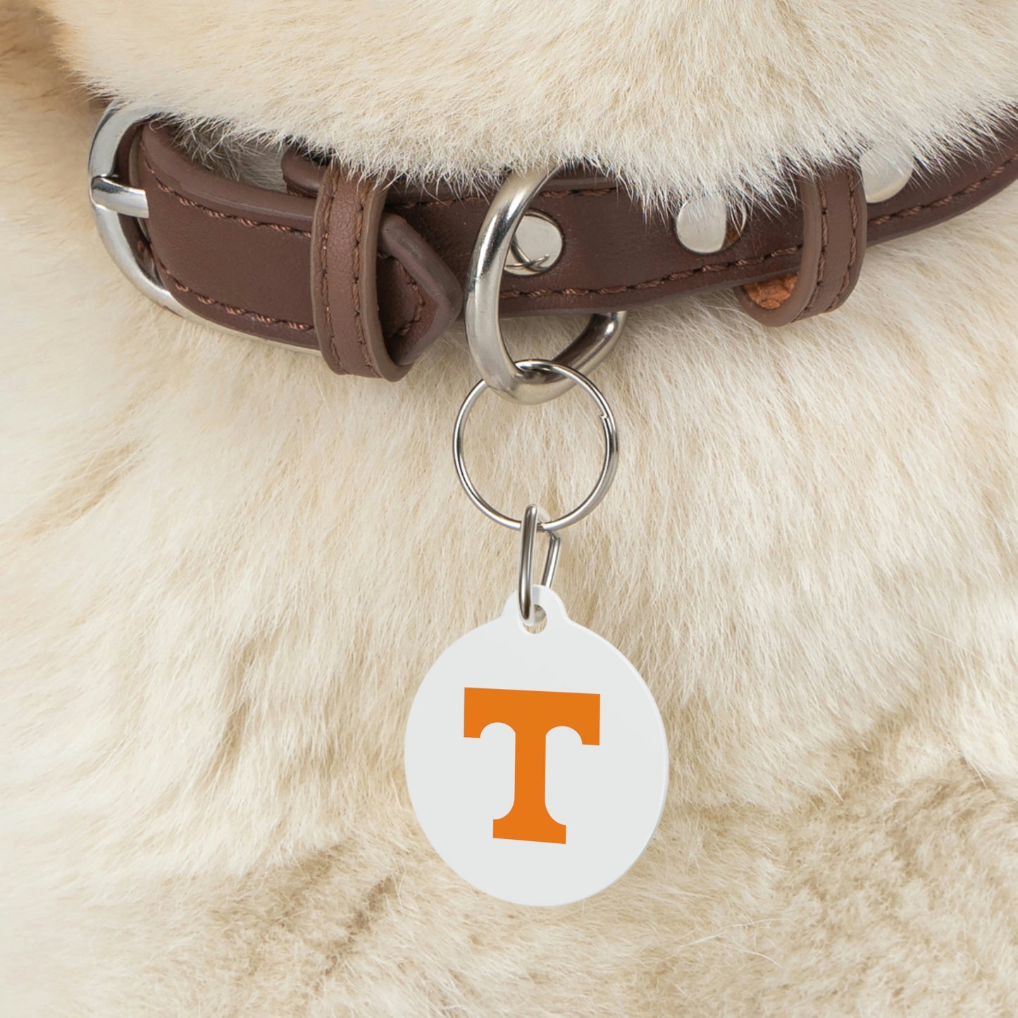 TN Pet Tag