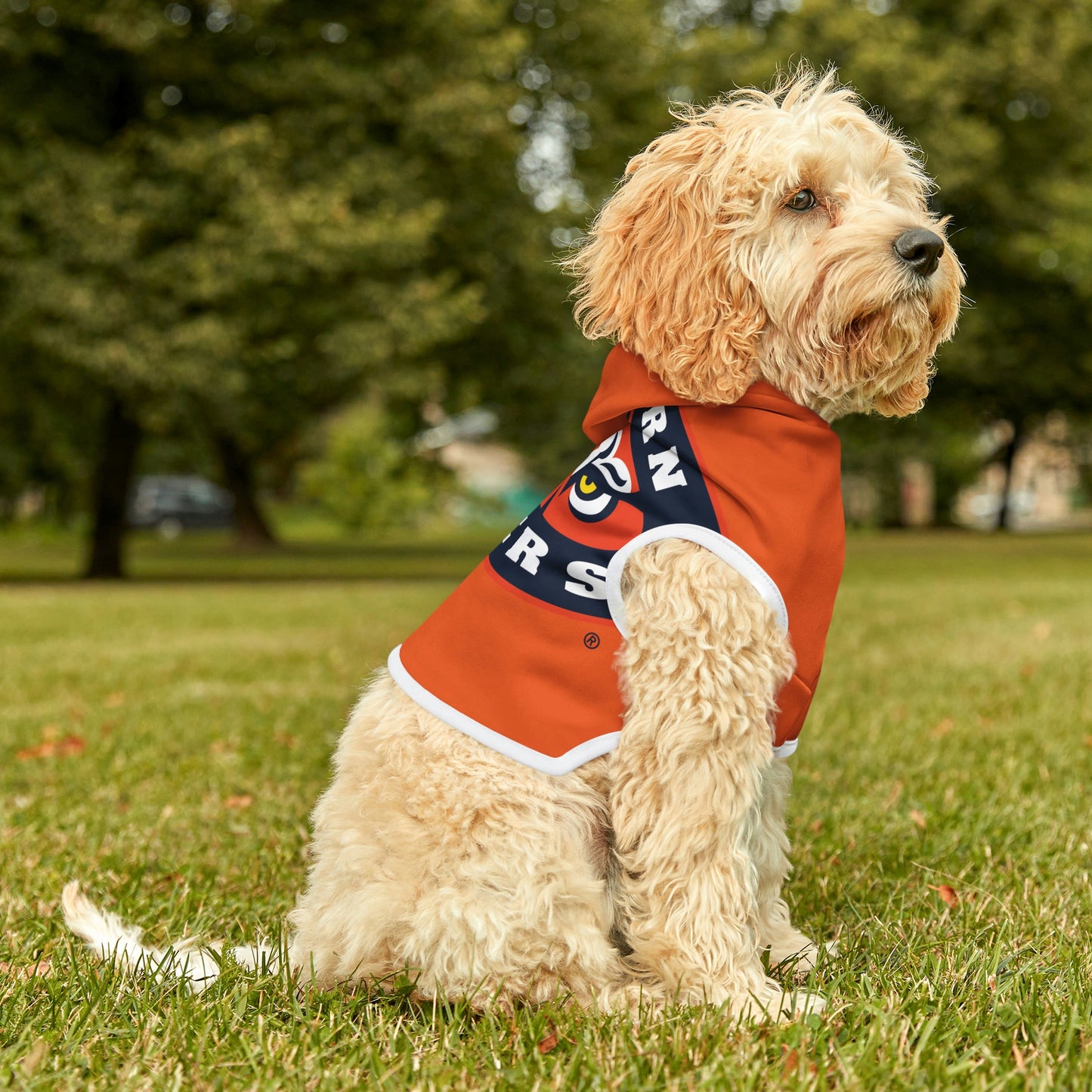 Tigers Dog Hoodie