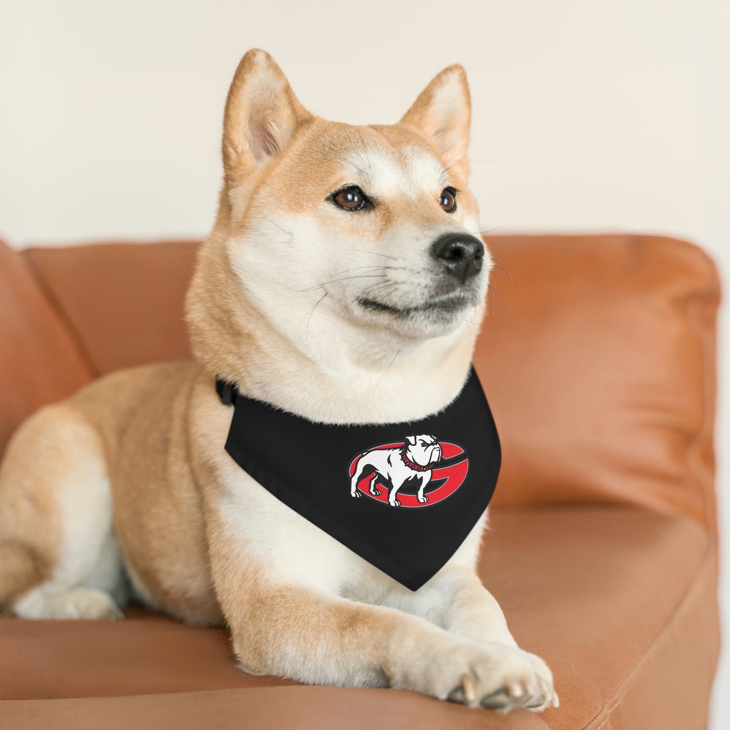 Dawgs Pet Bandana Collar