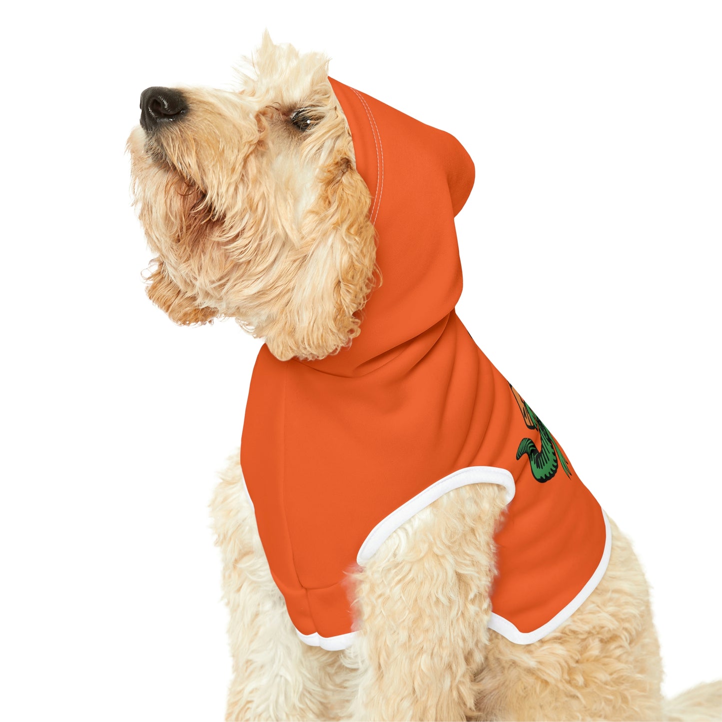 Gators Dog Hoodie