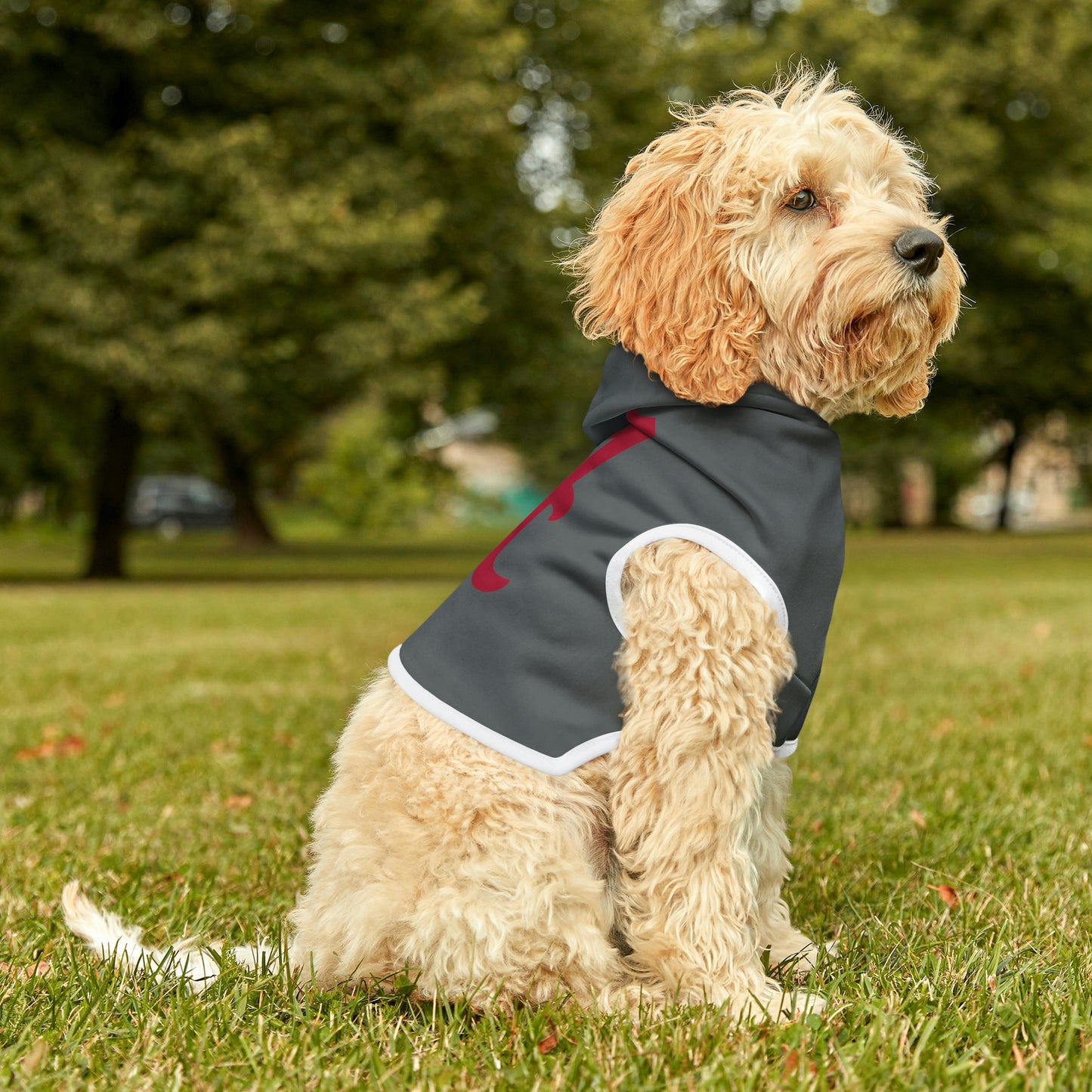 Alabama Dog Hoodie