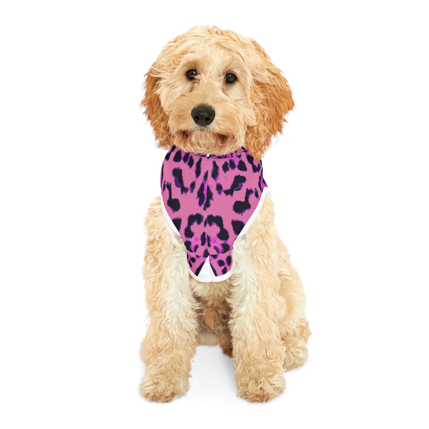 Cheetah Dog Hoodie