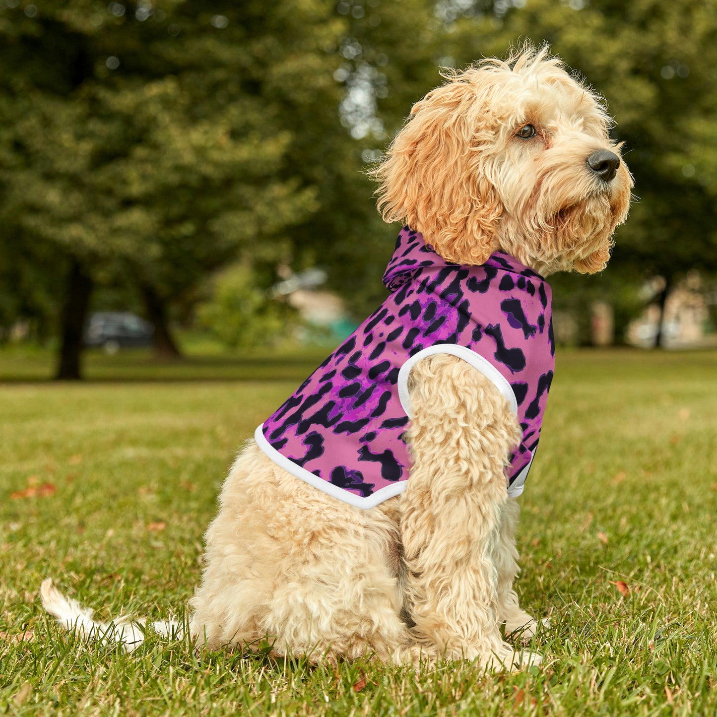 Cheetah Dog Hoodie