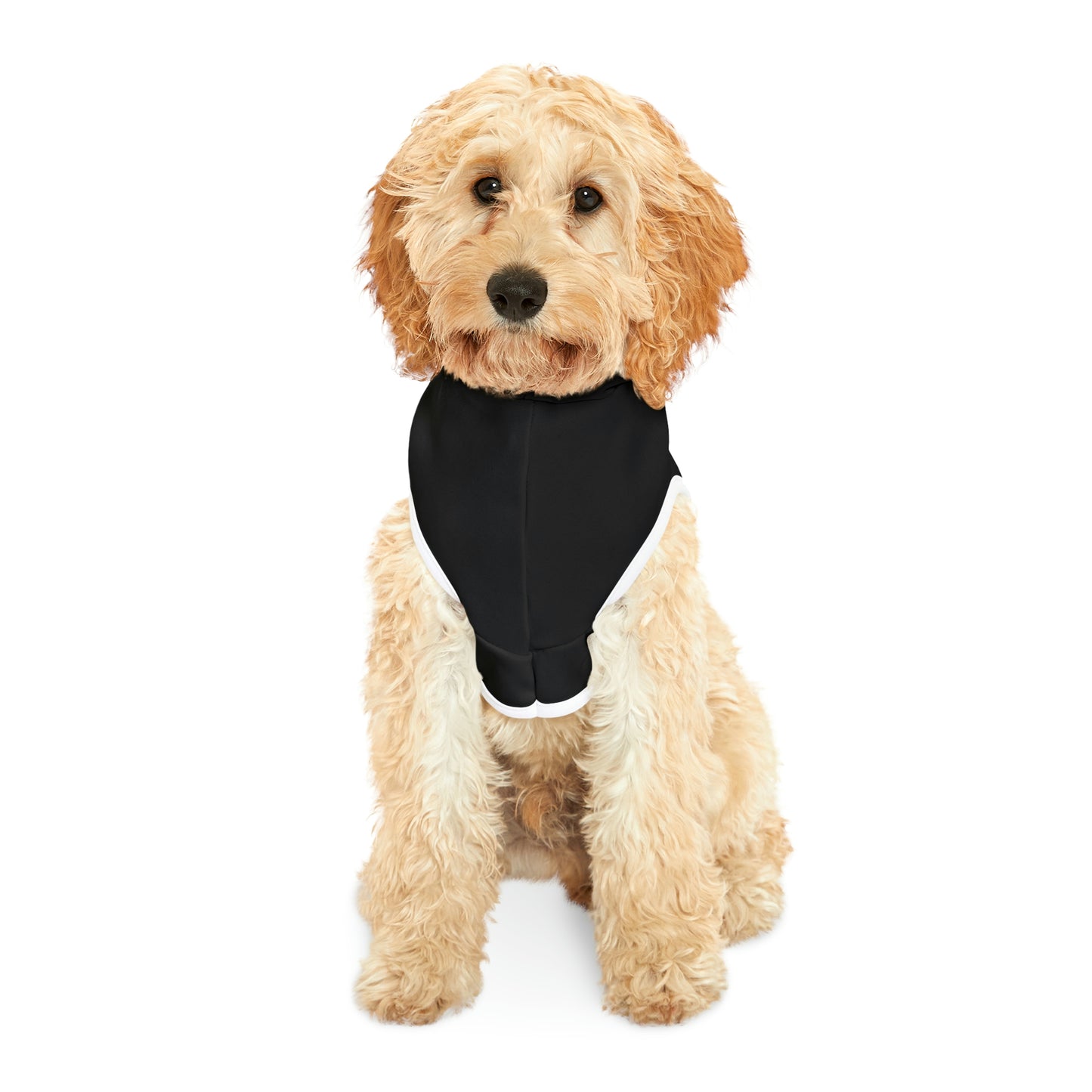 Copy of Georgia Dog Hoodie