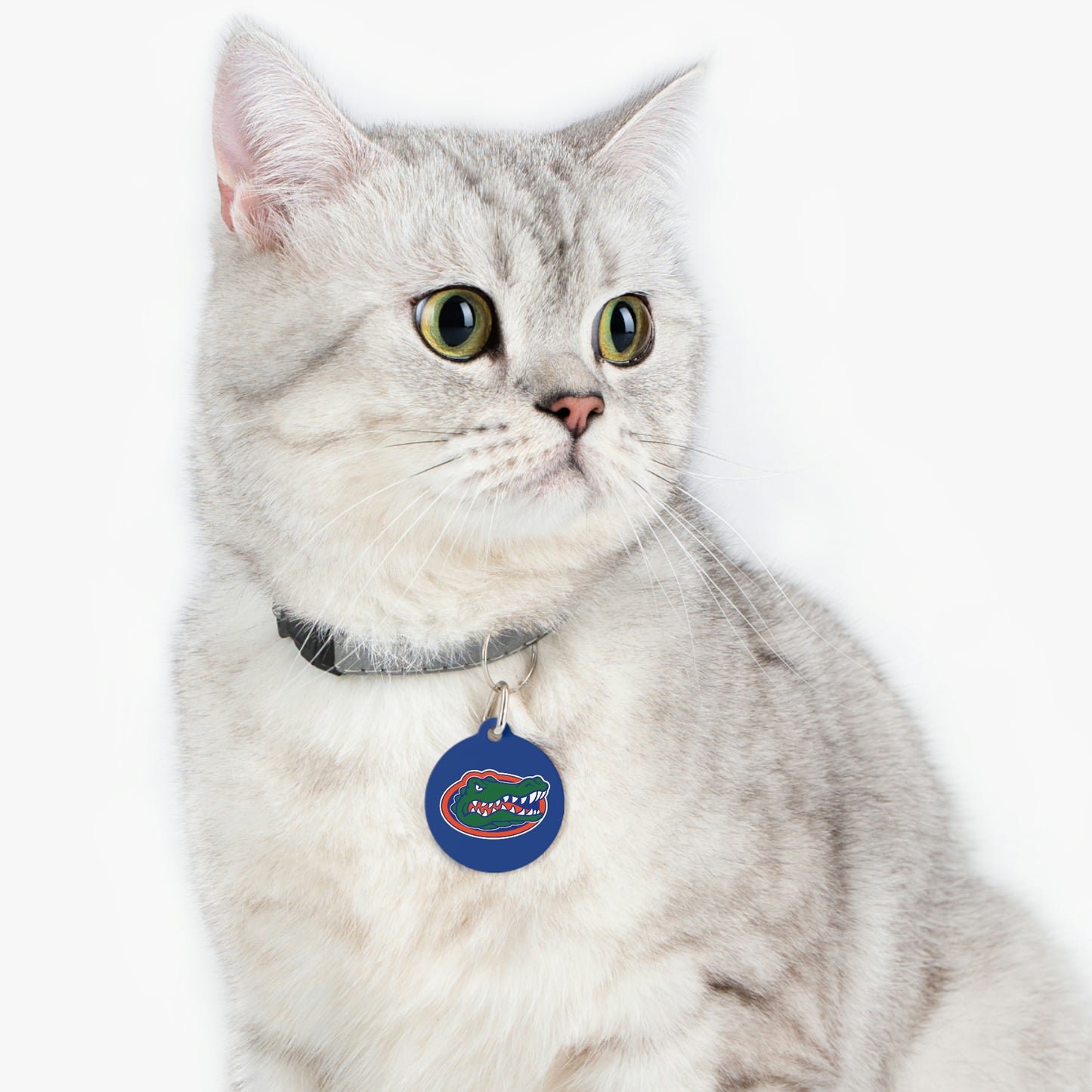 Gators Pet Tag