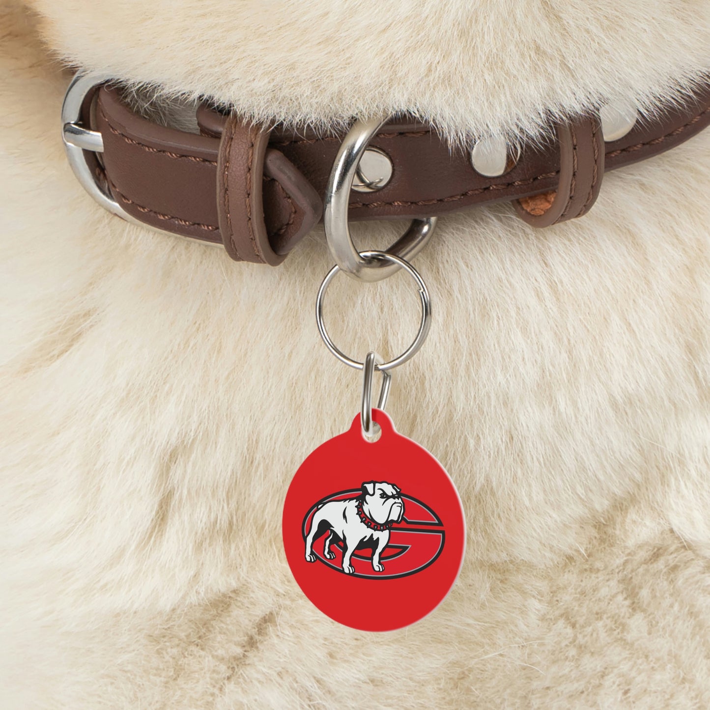 Dawgs Pet Tag