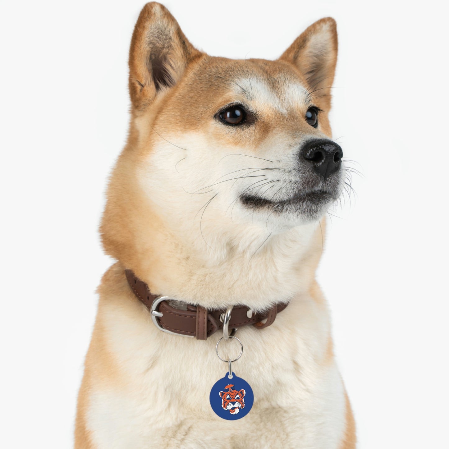Tigers Pet Tag