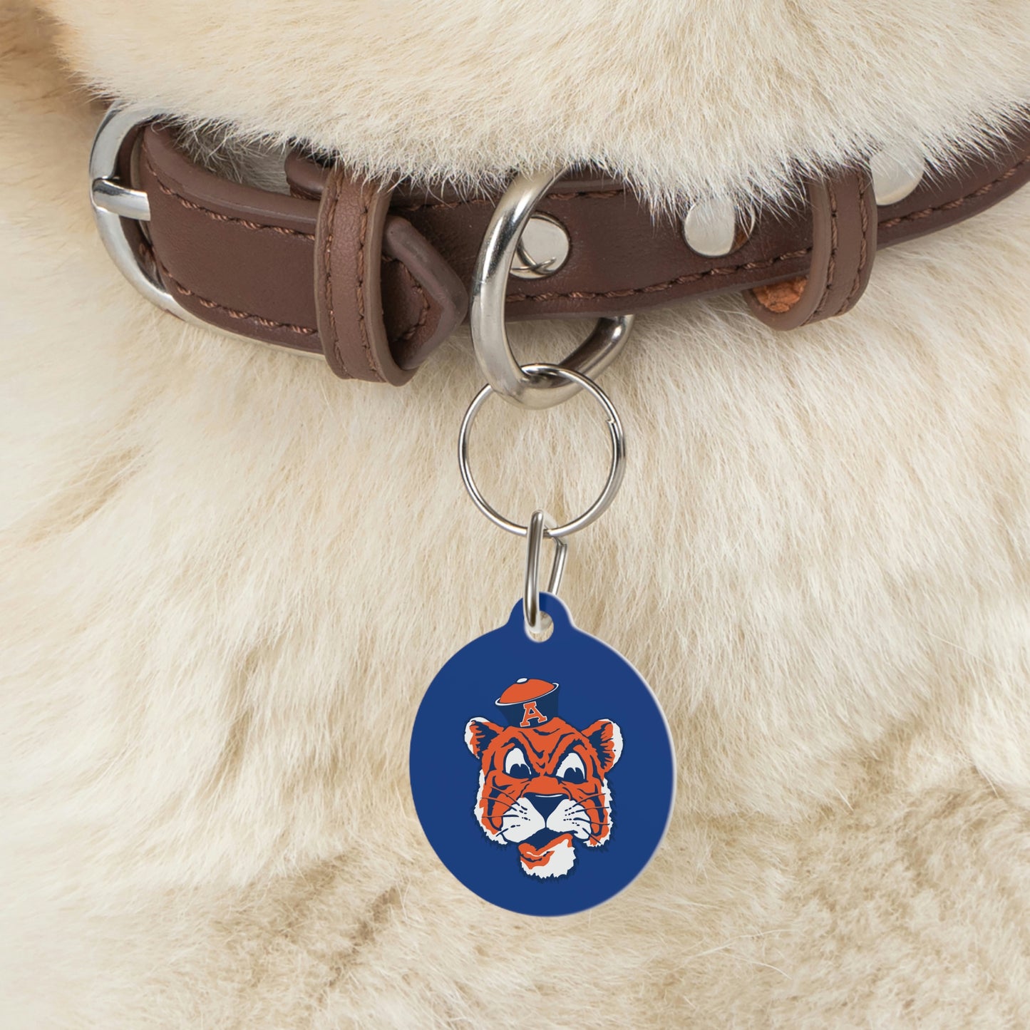 Tigers Pet Tag