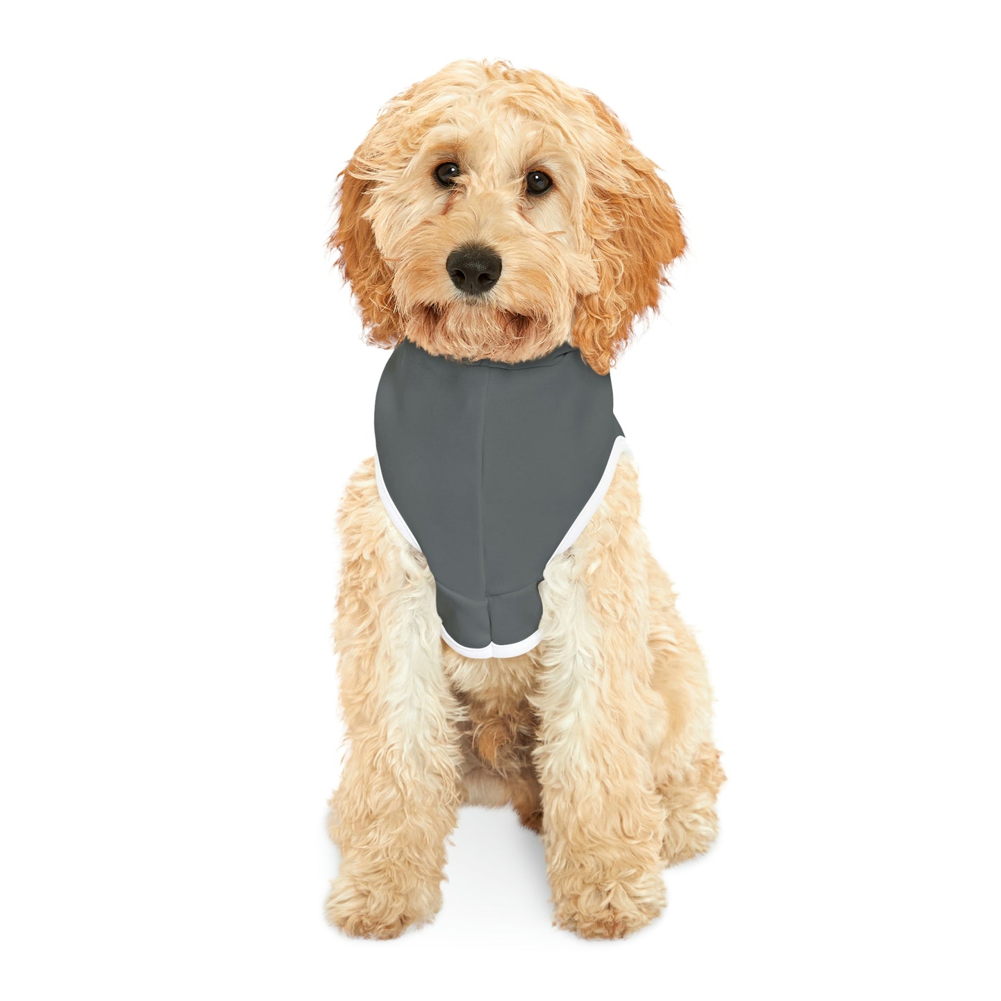 Alabama Dog Hoodie