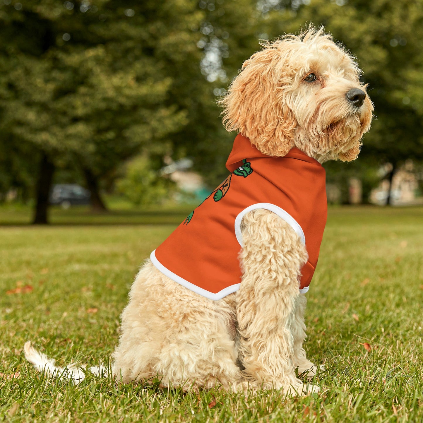 Gators Dog Hoodie