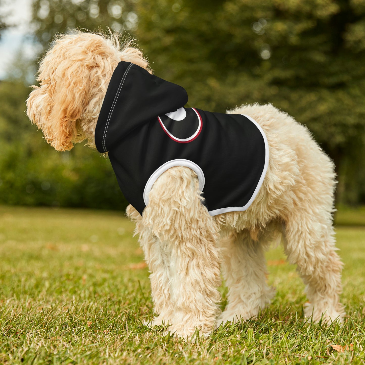 Copy of Georgia Dog Hoodie