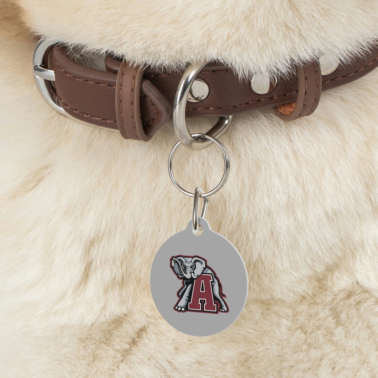 Bama Pet Tag