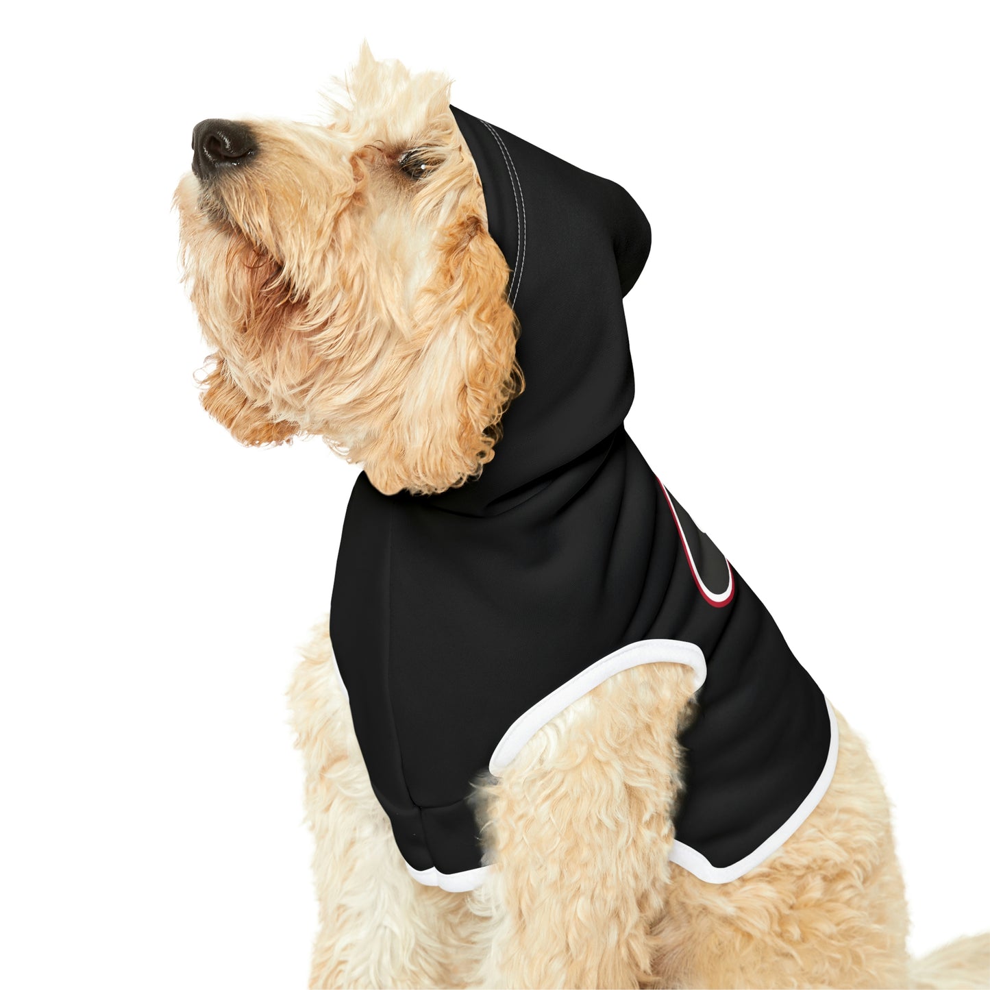 Copy of Georgia Dog Hoodie