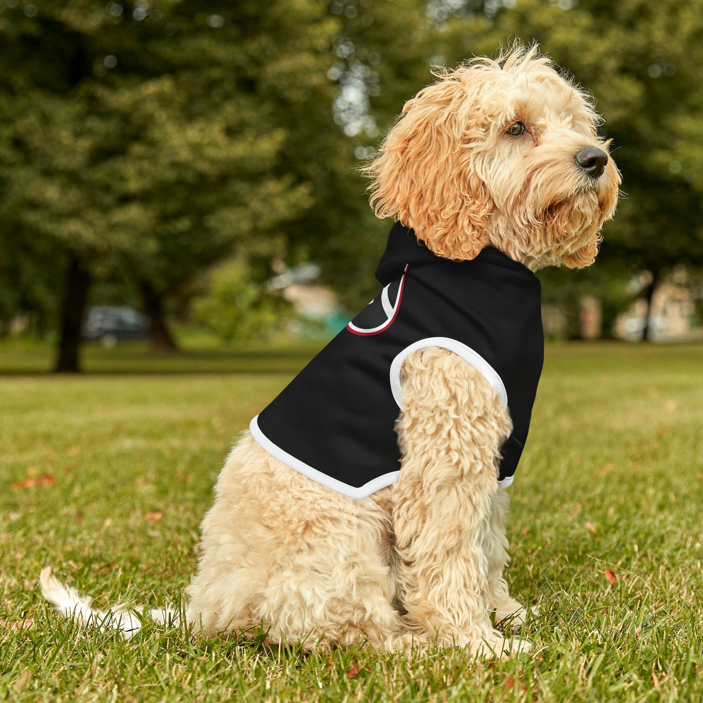 Copy of Georgia Dog Hoodie