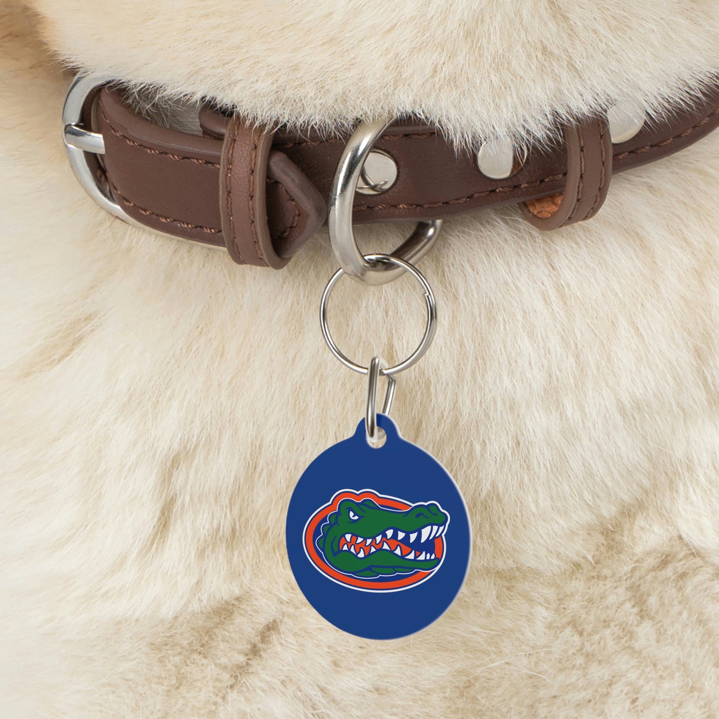 Gators Pet Tag