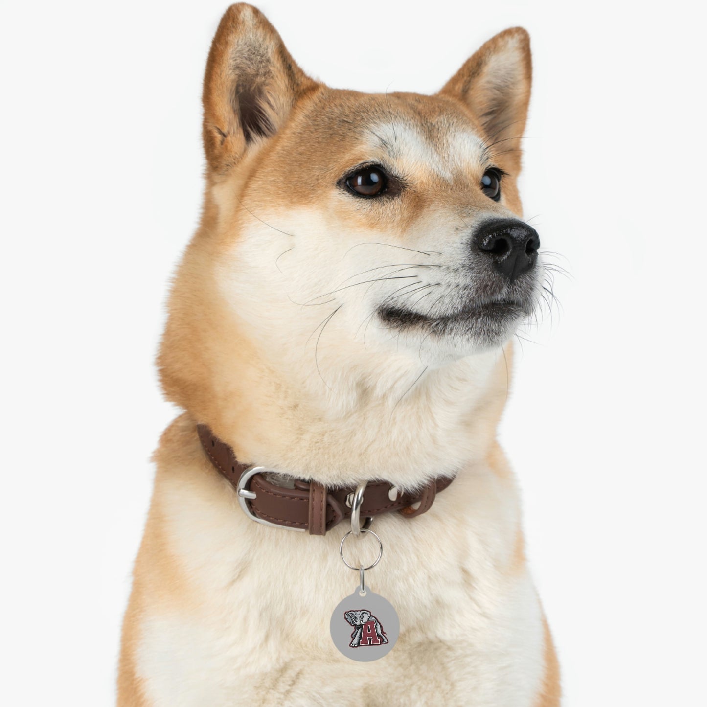 Bama Pet Tag