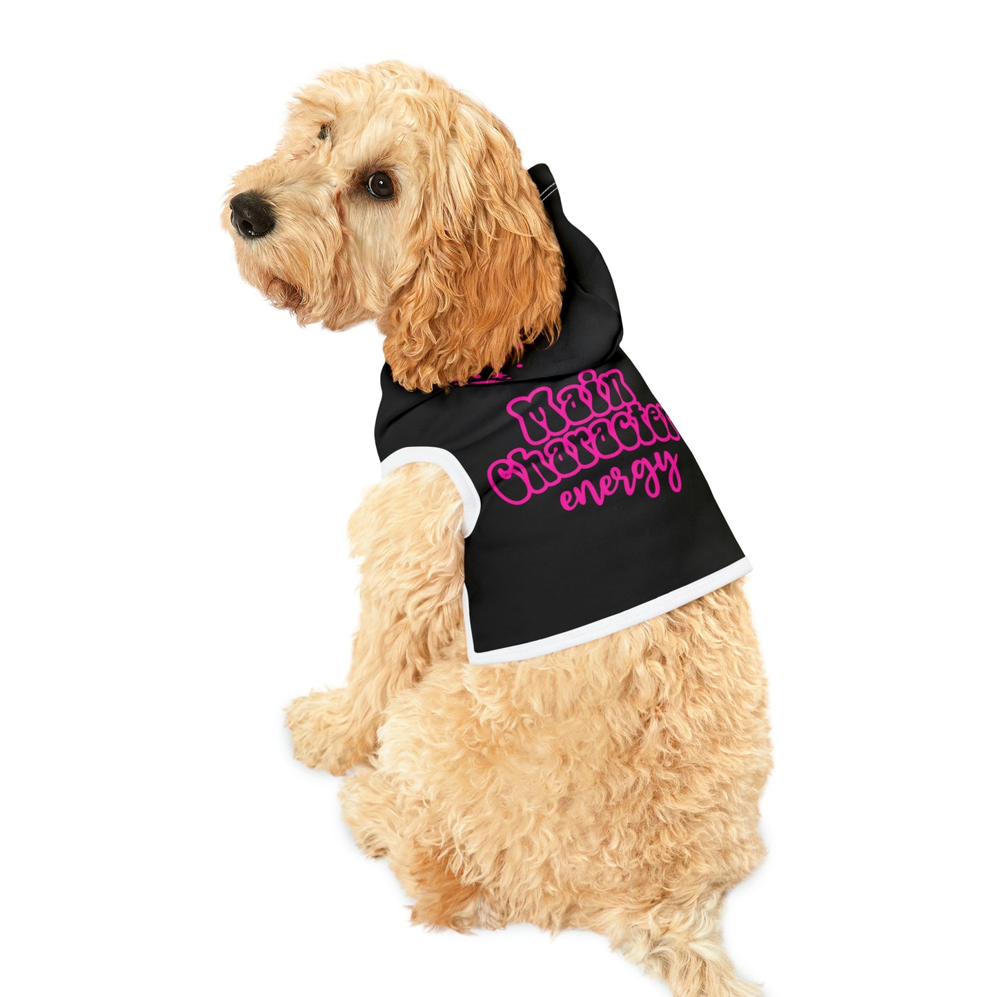 Dog Hoodie