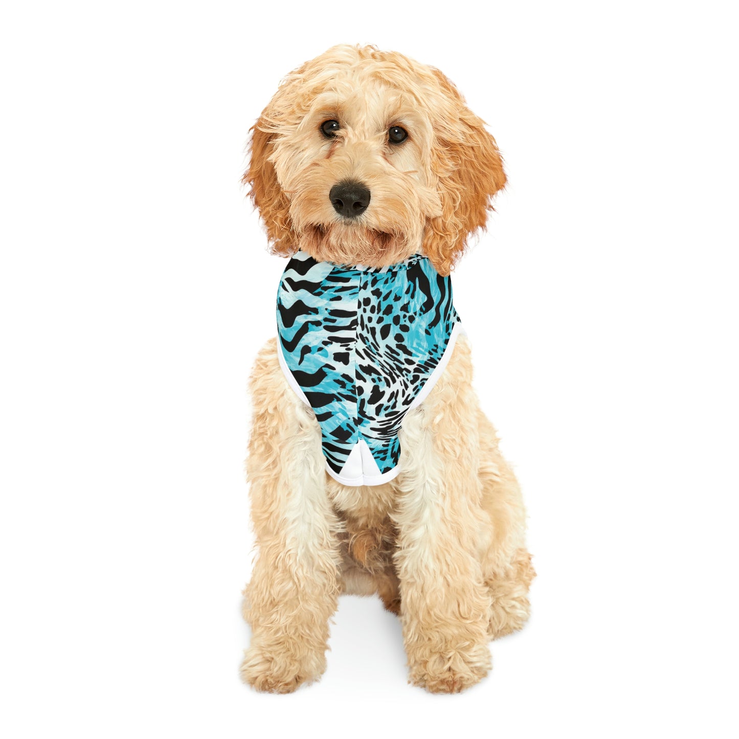 Zebra Vibes Dog Hoodie